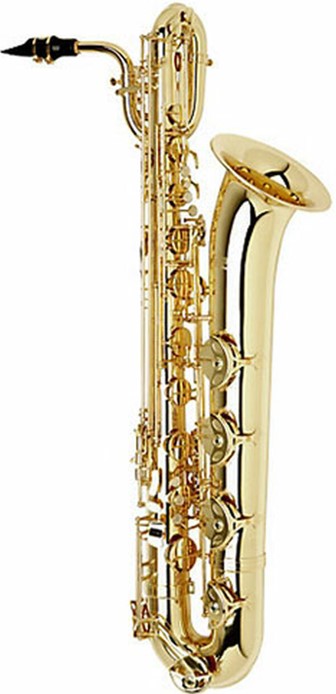good saxophone on rent kolhapur