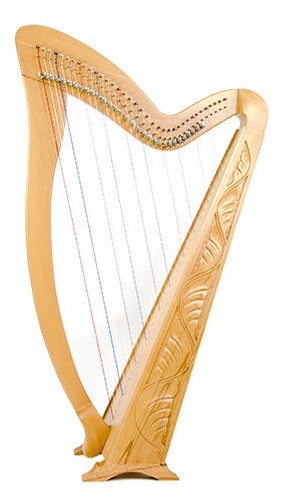 best harp on rent kolhapur